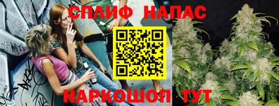 apvp Гусиноозёрск