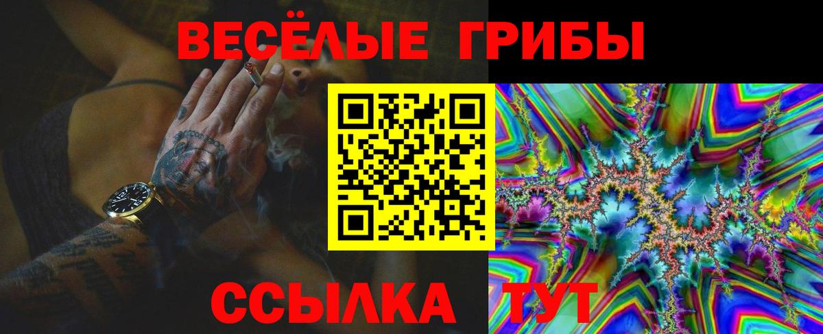 Псилоцибиновые грибы Psilocybe  Галлюциногенные грибы мицелий  Вход с VPN  Минусинск 